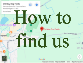 How to find Us